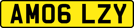 AM06LZY
