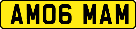 AM06MAM