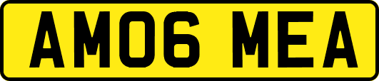 AM06MEA
