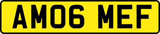 AM06MEF