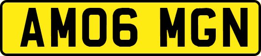 AM06MGN