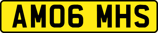 AM06MHS