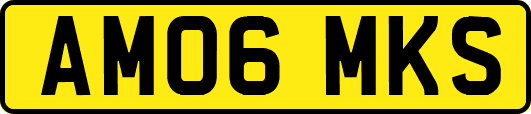 AM06MKS