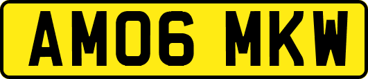 AM06MKW