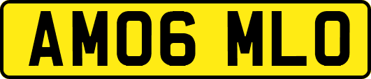 AM06MLO
