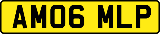 AM06MLP