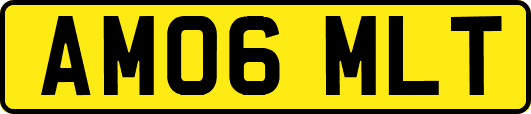 AM06MLT