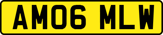 AM06MLW