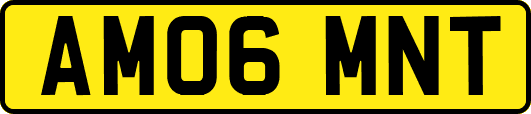 AM06MNT