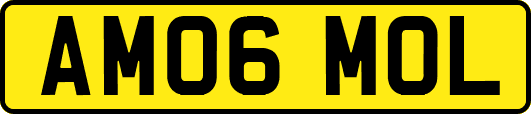 AM06MOL
