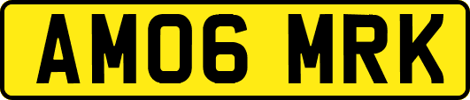 AM06MRK
