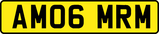 AM06MRM