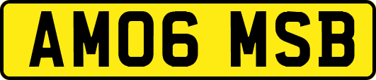 AM06MSB