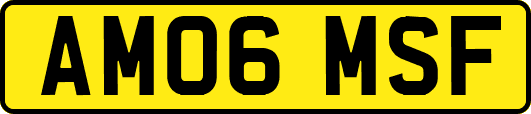 AM06MSF
