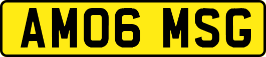 AM06MSG
