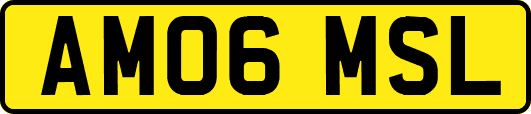AM06MSL