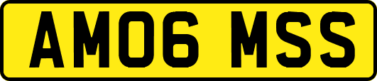 AM06MSS