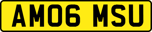 AM06MSU