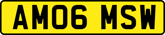 AM06MSW