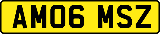 AM06MSZ