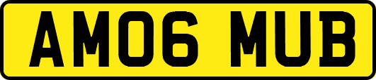 AM06MUB