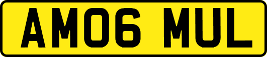 AM06MUL