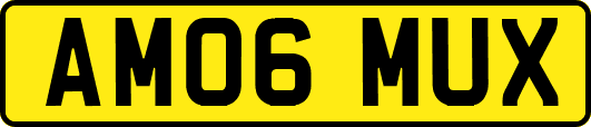 AM06MUX
