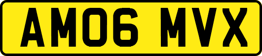 AM06MVX