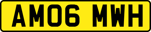 AM06MWH