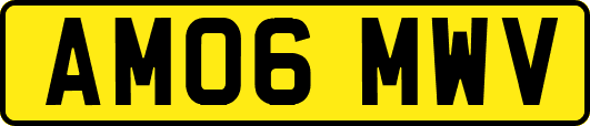 AM06MWV