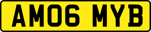 AM06MYB