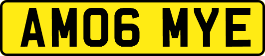 AM06MYE