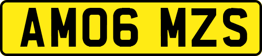 AM06MZS