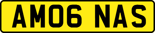 AM06NAS