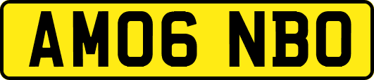 AM06NBO