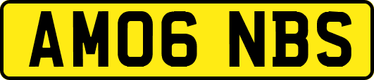 AM06NBS