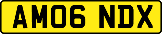 AM06NDX