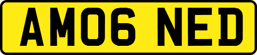 AM06NED