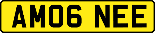 AM06NEE