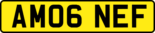 AM06NEF