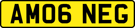AM06NEG