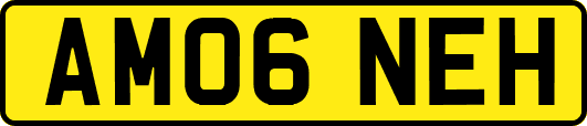 AM06NEH