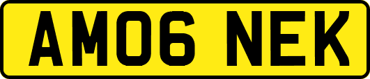 AM06NEK
