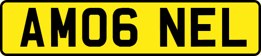 AM06NEL