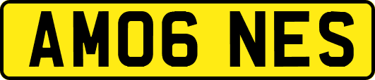 AM06NES