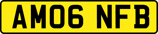 AM06NFB