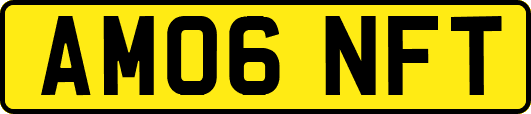 AM06NFT