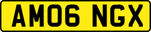 AM06NGX
