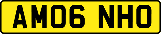 AM06NHO