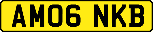 AM06NKB
